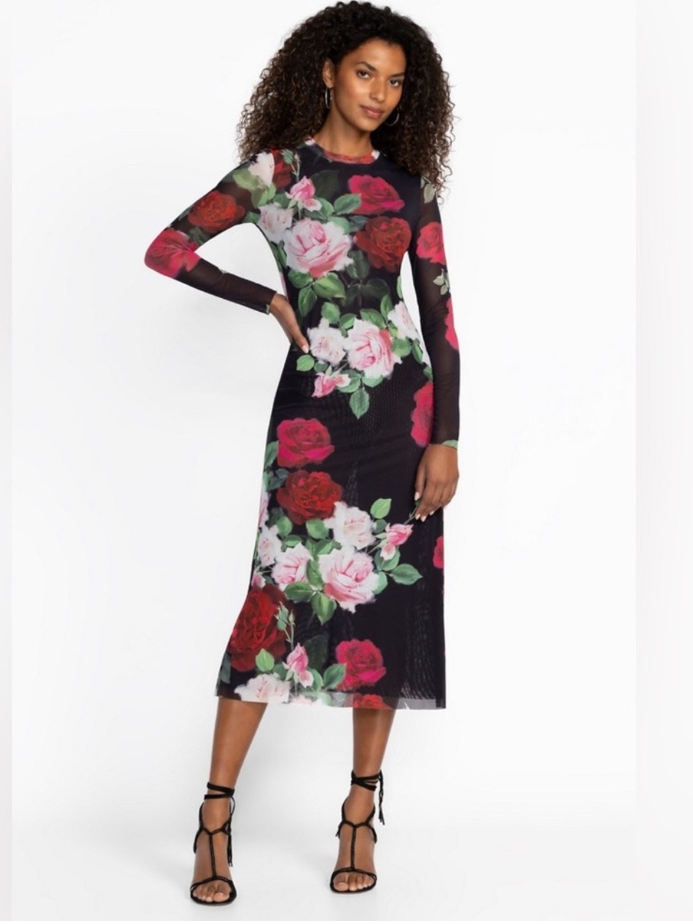 NWT Johnny Was Lolia Maxi Mesh Dress